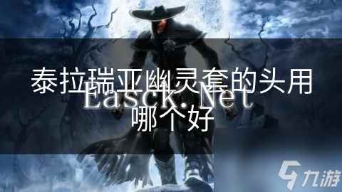 泰拉瑞亚幽灵套的头用哪个好