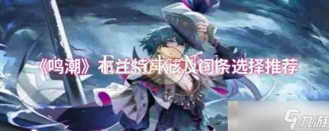 《鸣潮》布兰特声骸及词条选择推荐