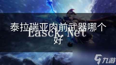 泰拉瑞亚肉前武器哪个好