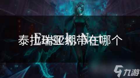 泰拉瑞亚绷带在哪个
