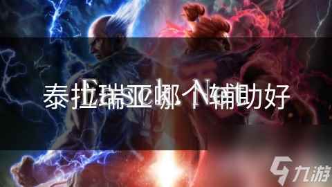 泰拉瑞亚哪个辅助好