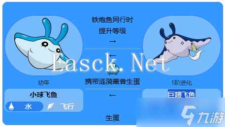 《宝可梦》小球飞鱼最新全世代进化方法介绍