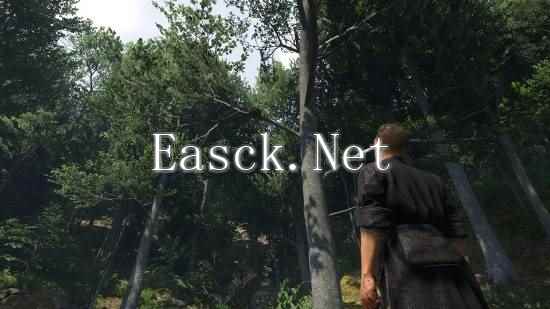 太长还是太难？《天国：拯救2》通关率仅8%