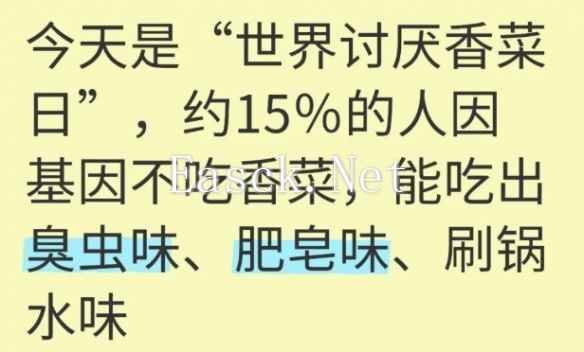 易采游戏网