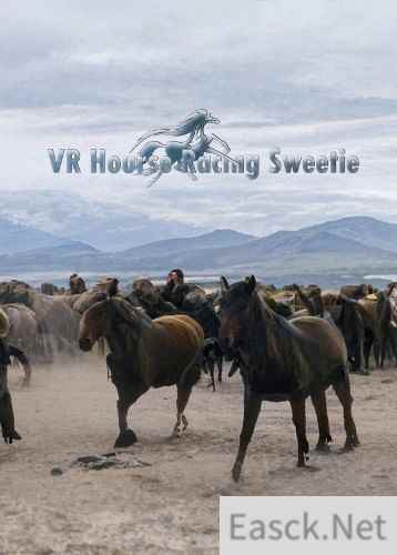 马匹游戏哪个最好玩 十大必玩马匹游戏精选