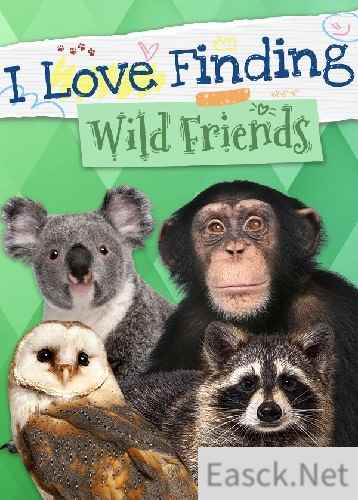 马匹游戏哪些值得玩 好玩的马匹游戏盘点