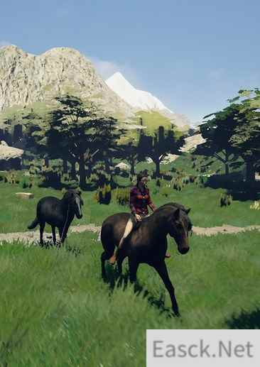 马匹游戏有哪些好玩 人气高的马匹游戏排行榜