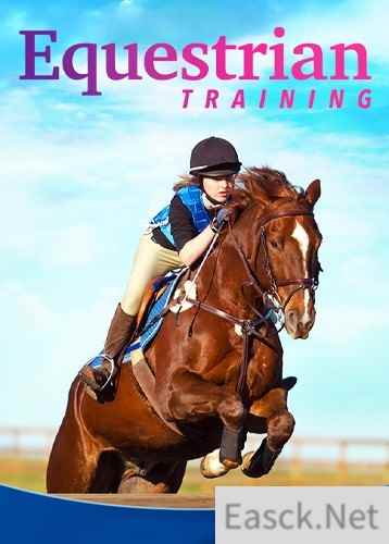 马匹游戏下载 十大必玩马匹游戏排行榜前十