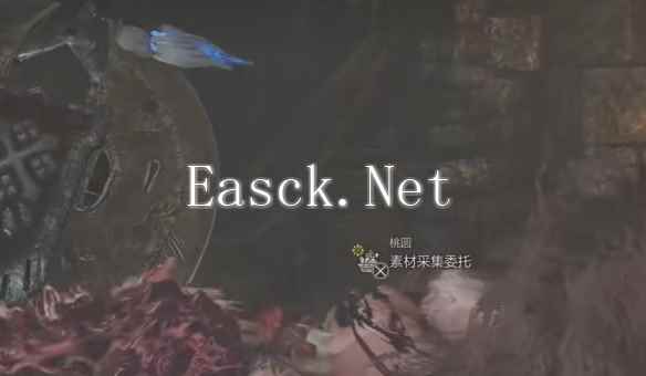 怪物猎人荒野毛皮会变差讨厌怎么做