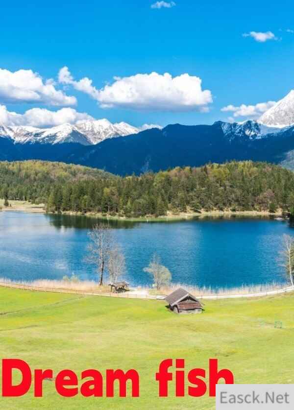 传统类 Rogue游戏有哪些 人气高的传统类 Rogue游戏排行