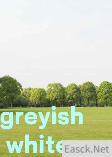 不可思议迷宫游戏哪些值得玩 2024不可思议迷宫游戏排行