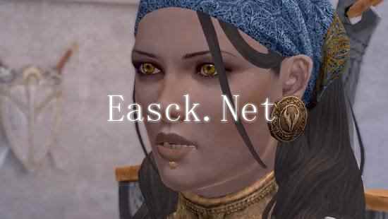 《龙腾》老将谈游戏延期：与其反复跳票 不如一次到