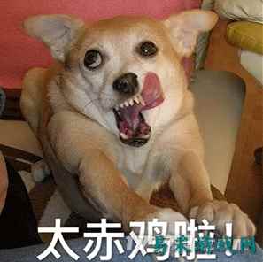 /review/2025/03-13/695806.shtml