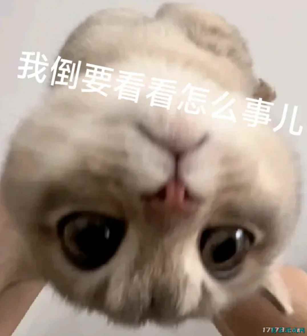 /review/2025/03-13/695831.shtml