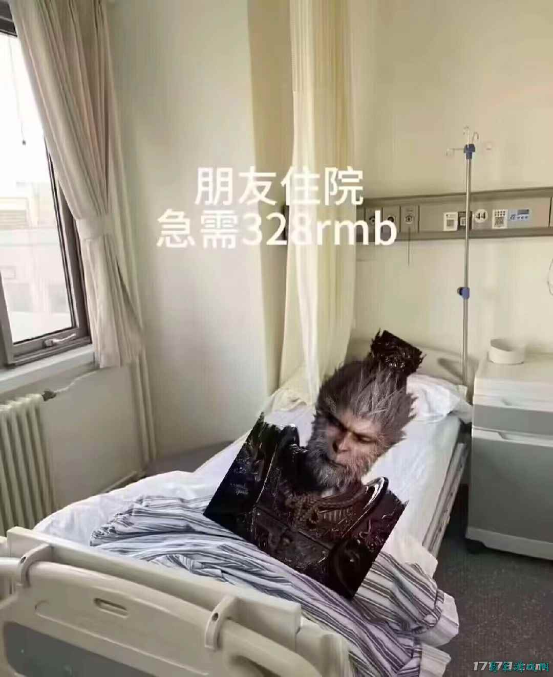 /review/2025/03-13/695836.shtml