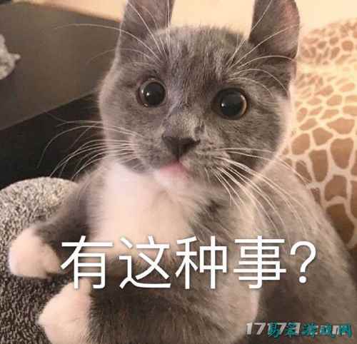 /review/2025/03-13/695850.shtml