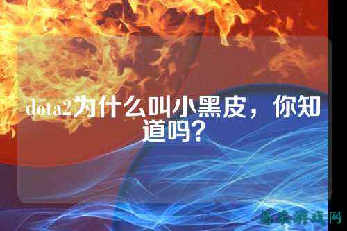 dota2为什么叫小黑皮，你知道吗？