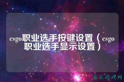 csgo职业选手按键设置（csgo职业选手显示设置）