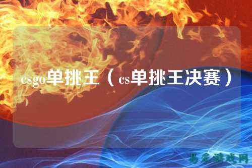 csgo单挑王（cs单挑王决赛）