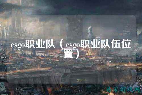 csgo职业队（csgo职业队伍位置）