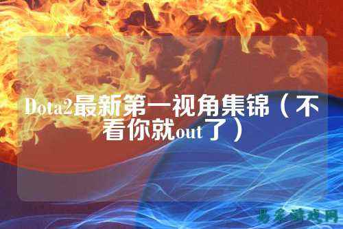 Dota2最新第一视角集锦（不看你就out了）