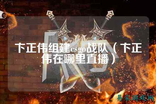 卞正伟组建csgo战队（卞正伟在哪里直播）