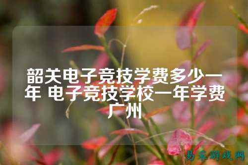 韶关电子竞技学费多少一年 电子竞技学校一年学费广州