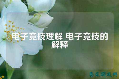 电子竞技理解 电子竞技的解释