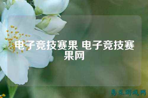 电子竞技赛果 电子竞技赛果网
