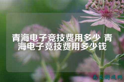青海电子竞技费用多少 青海电子竞技费用多少钱