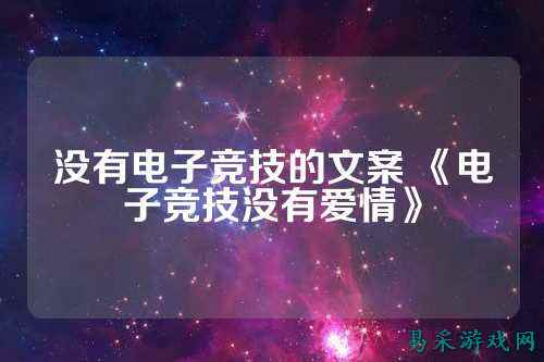 没有电子竞技的文案 《电子竞技没有爱情》