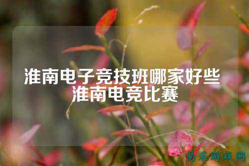 淮南电子竞技班哪家好些 淮南电竞比赛