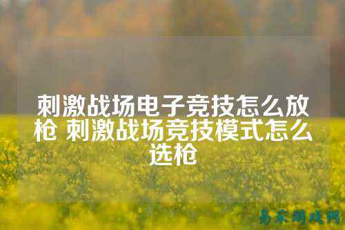 刺激战场电子竞技怎么放枪 刺激战场竞技模式怎么选枪