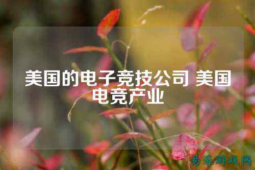 美国的电子竞技公司 美国电竞产业