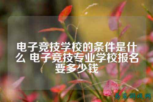 电子竞技学校的条件是什么 电子竞技专业学校报名要多少钱