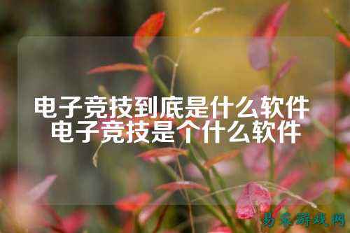 电子竞技到底是什么软件 电子竞技是个什么软件