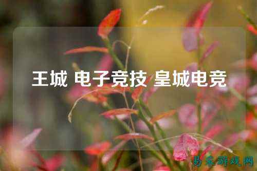 王城 电子竞技 皇城电竞