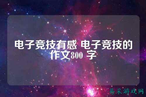 电子竞技有感 电子竞技的作文800 字