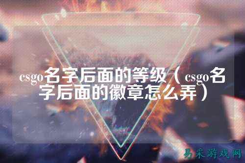 csgo名字后面的等级（csgo名字后面的徽章怎么弄）