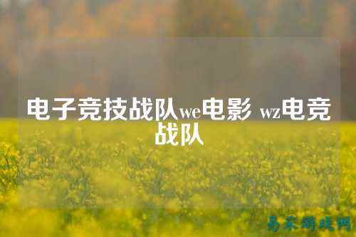电子竞技战队we电影 wz电竞战队