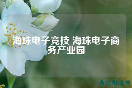 海珠电子竞技 海珠电子商务产业园