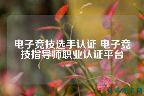 电子竞技选手认证 电子竞技指导师职业认证平台