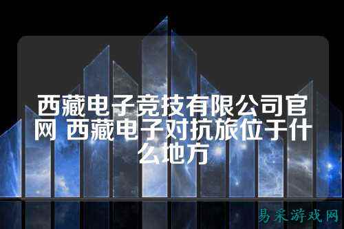 西藏电子竞技有限公司官网 西藏电子对抗旅位于什么地方