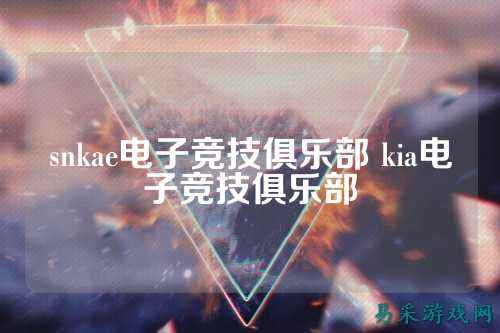 snkae电子竞技俱乐部 kia电子竞技俱乐部