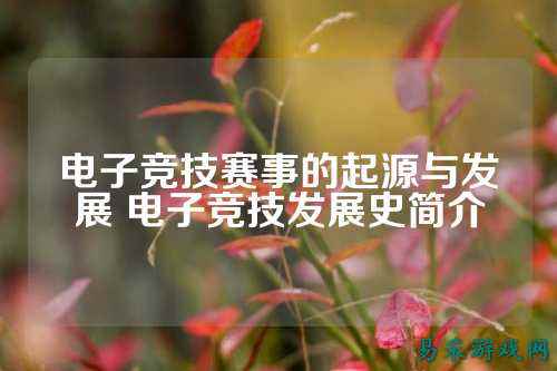 电子竞技赛事的起源与发展 电子竞技发展史简介