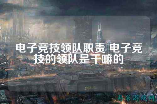 电子竞技领队职责 电子竞技的领队是干嘛的