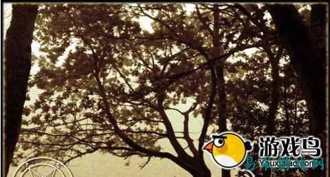 /review/2025/03-15/707465.shtml