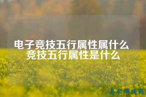 电子竞技五行属性属什么 竞技五行属性是什么