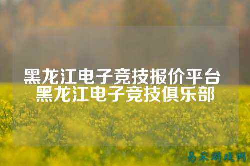 黑龙江电子竞技报价平台 黑龙江电子竞技俱乐部