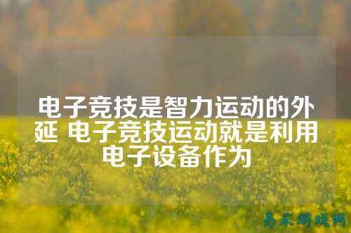 电子竞技是智力运动的外延 电子竞技运动就是利用电子设备作为